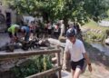 Escursione gratuita in bicicletta dal Mulino del Trotto a Castiglione Olona domenica 14 giugno