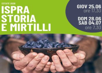 Storia e sapori di Ispra e del suo lago: il 28 giugno escursione dal lungolago al parco della Quassa per raccogliere mirtilli bio