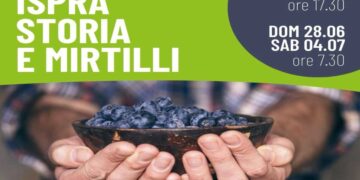 Storia e sapori di Ispra e del suo lago: il 28 giugno escursione dal lungolago al parco della Quassa per raccogliere mirtilli bio