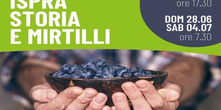 Storia e sapori di Ispra e del suo lago: il 28 giugno escursione dal lungolago al parco della Quassa per raccogliere mirtilli bio