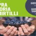 Storia e sapori di Ispra e del suo lago: il 28 giugno escursione dal lungolago al parco della Quassa per raccogliere mirtilli bio