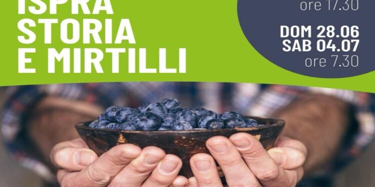 Passeggiata al fresco della mattina da Ispra al parco del Quassa con raccolta di mirtilli il 4 luglio per riscopre storia e sapori del Lago Maggiore