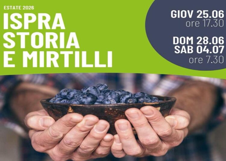 Passeggiata al fresco della mattina da Ispra al parco del Quassa con raccolta di mirtilli il 4 luglio per riscopre storia e sapori del Lago Maggiore
