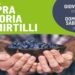 Passeggiata al fresco della mattina da Ispra al parco del Quassa con raccolta di mirtilli il 4 luglio per riscopre storia e sapori del Lago Maggiore