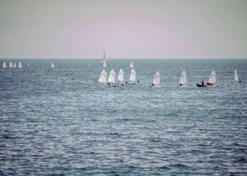Centro Nautico di Levante, dove la vela diventa formazione e cultura del mare