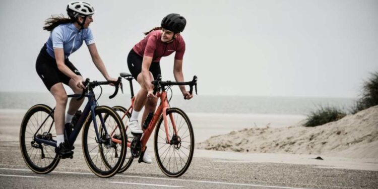 Portabici da tetto o posteriore: cosa dice il codice della strada e come montarlo