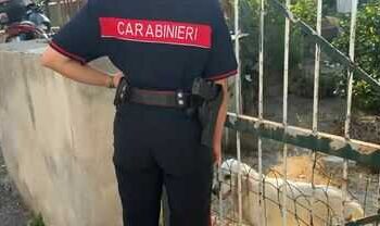 Sisma Campi Flegrei, intervento dei Carabinieri: tratto in salvo un cane, ora è affidato all’Asl
