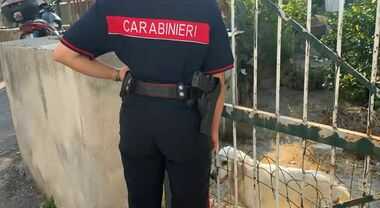Sisma Campi Flegrei, intervento dei Carabinieri: tratto in salvo un cane, ora è affidato all’Asl