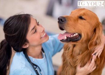 Quando portare il cane o il gatto dal veterinario: i segnali da non sottovalutare