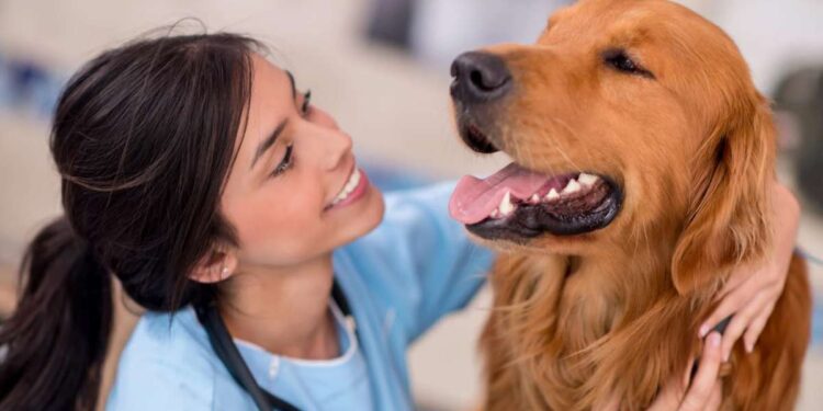 Quando portare il cane o il gatto dal veterinario: i segnali da non sottovalutare
