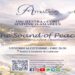 “The Sound of Peace”, a Limbiate il 16 ottobre la grande musica celebra la pace: da Morricone a Beethoven con il Coro e l’Orchestra Sinfonica Amadeus